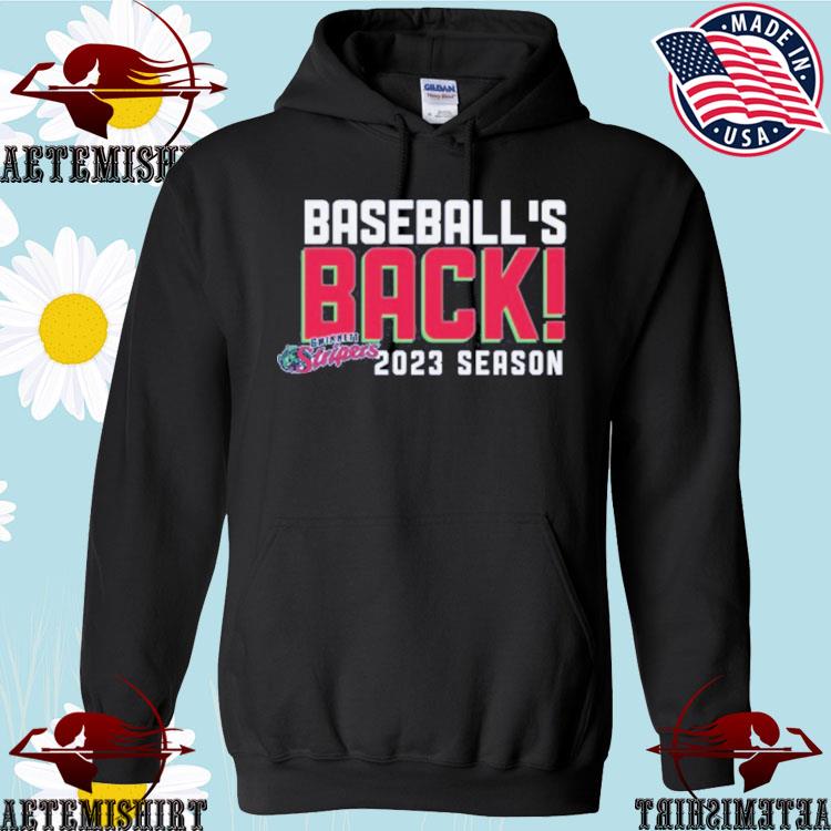 Official gwinnett Stripers 2023 Opening Day Shirt, hoodie, sweater