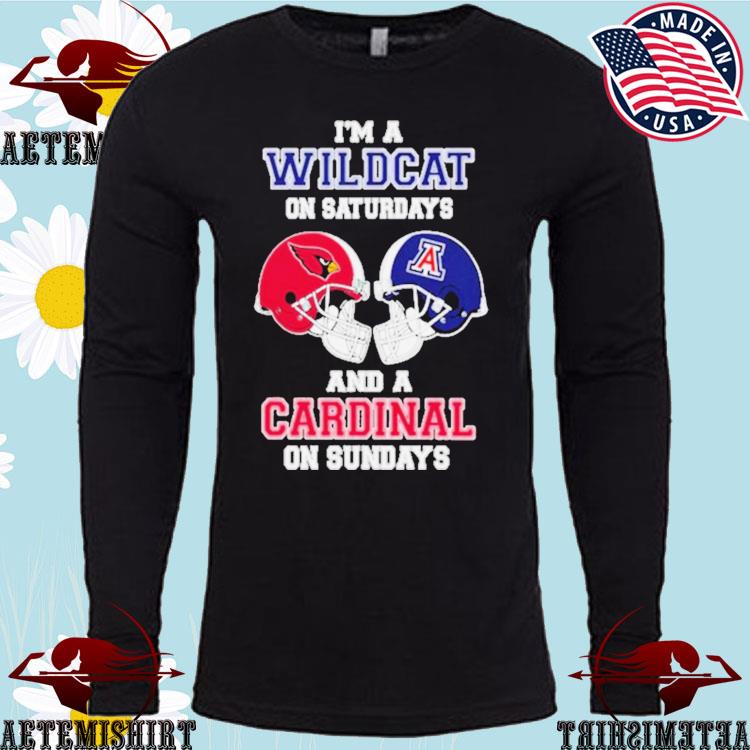 Youth Cardinal Arizona Cardinals Wildcat Long Sleeve T-Shirt