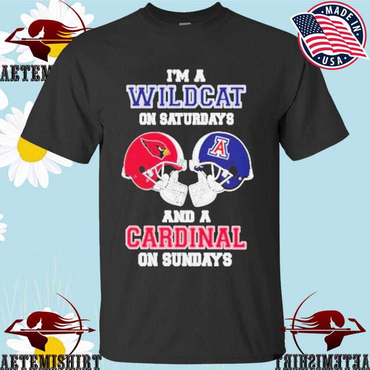 Youth Cardinal Arizona Cardinals Wildcat Long Sleeve T-Shirt